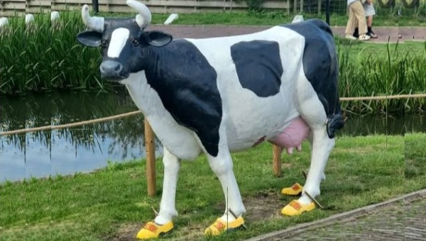 Nieuws van Klompenmakerij Marken inzake PostNL-punt